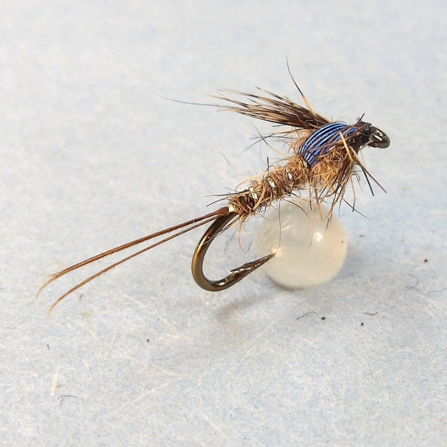 Asian Kingfisher Pelt Premium