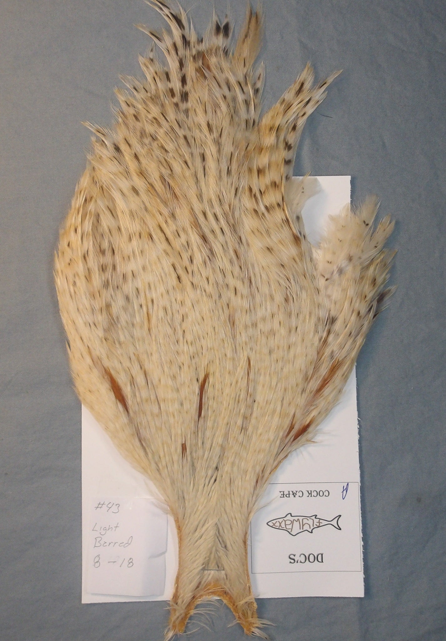 Doc's Cock Cape # 43