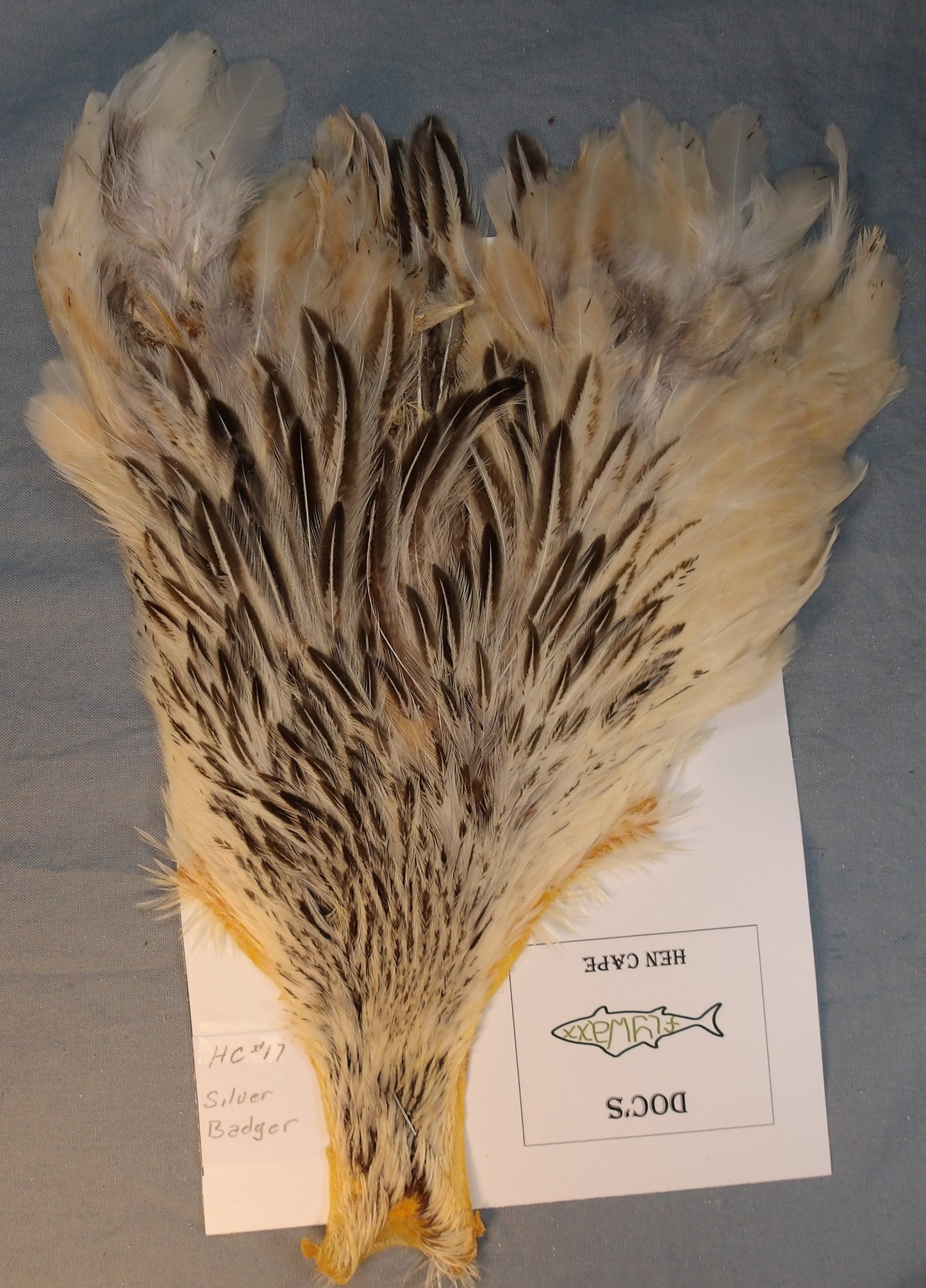 Doc's Hen Cape #17 Silver Badger