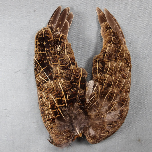 English Partridge Wings