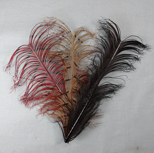 Knotted Daddy Legs on Quill