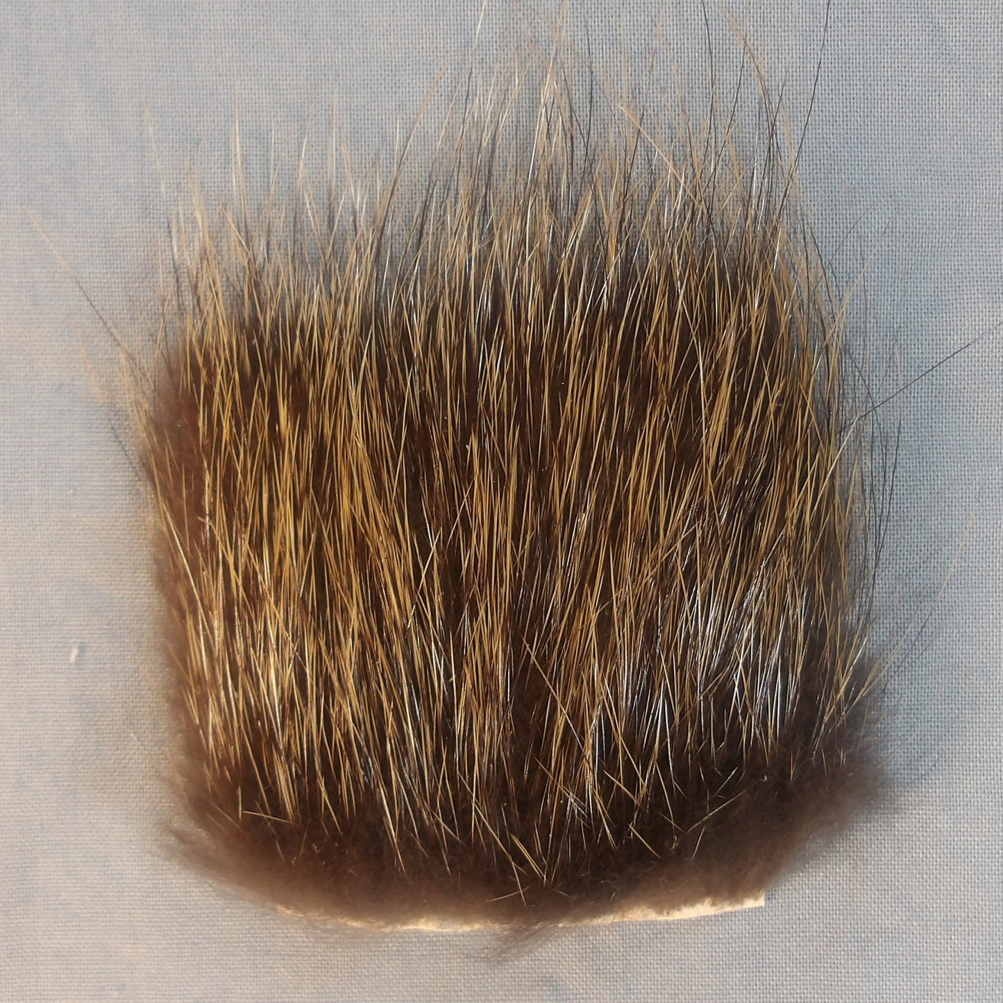 Nutria Fur Piece