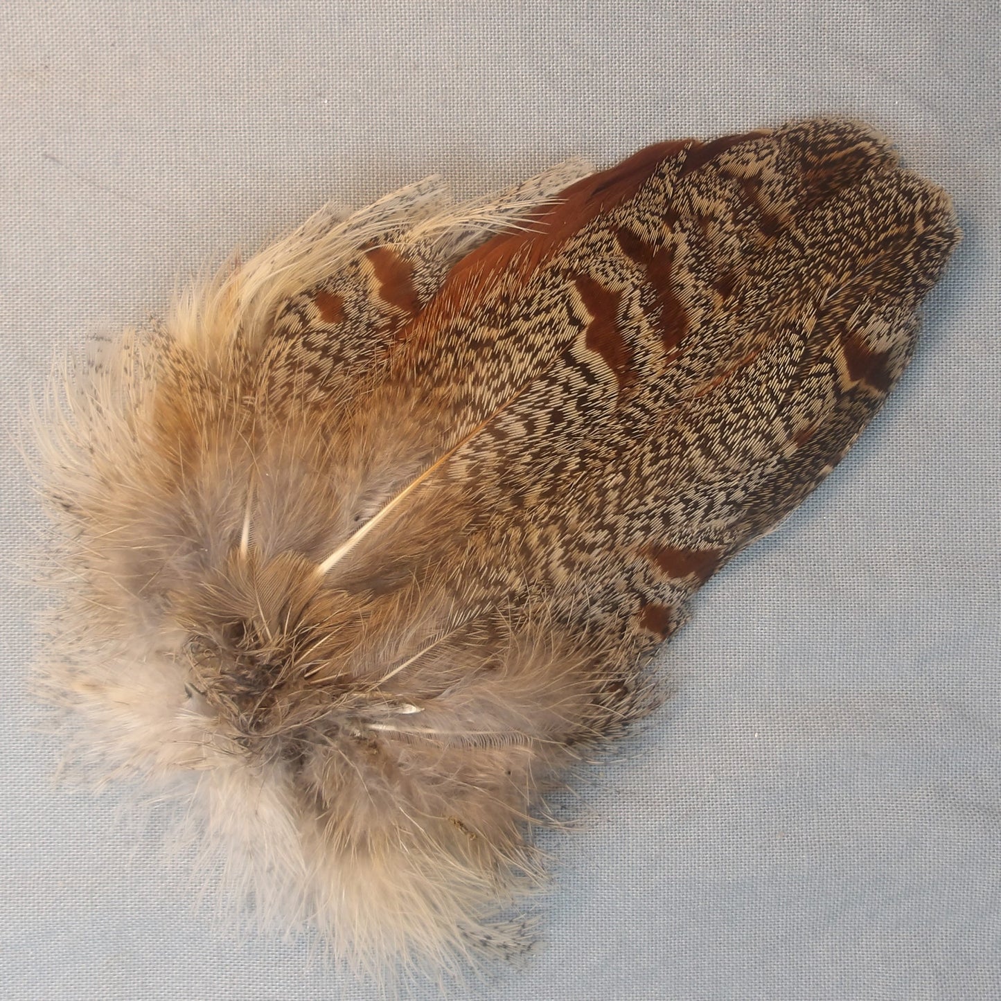 Partridge Tail Centers