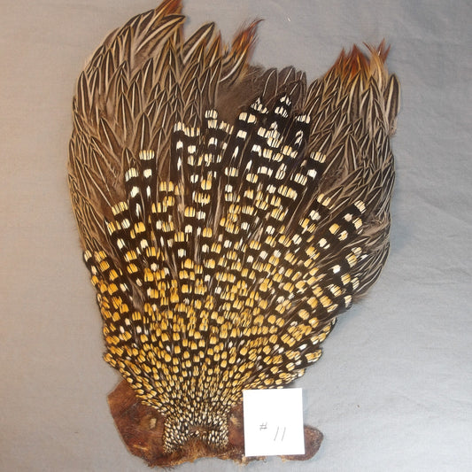 Jungle Cock Neck #11