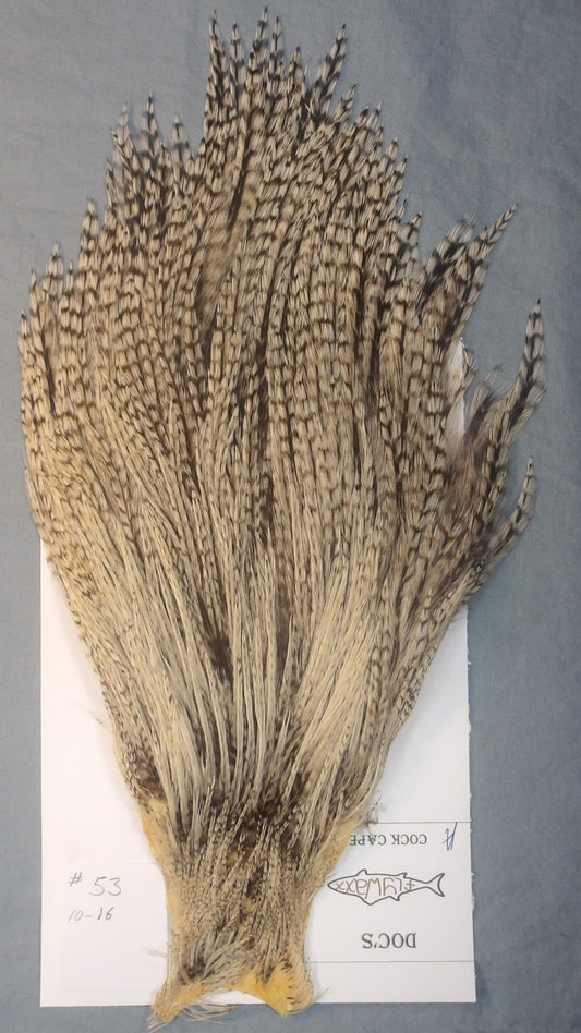 Doc's Cock Cape # 53