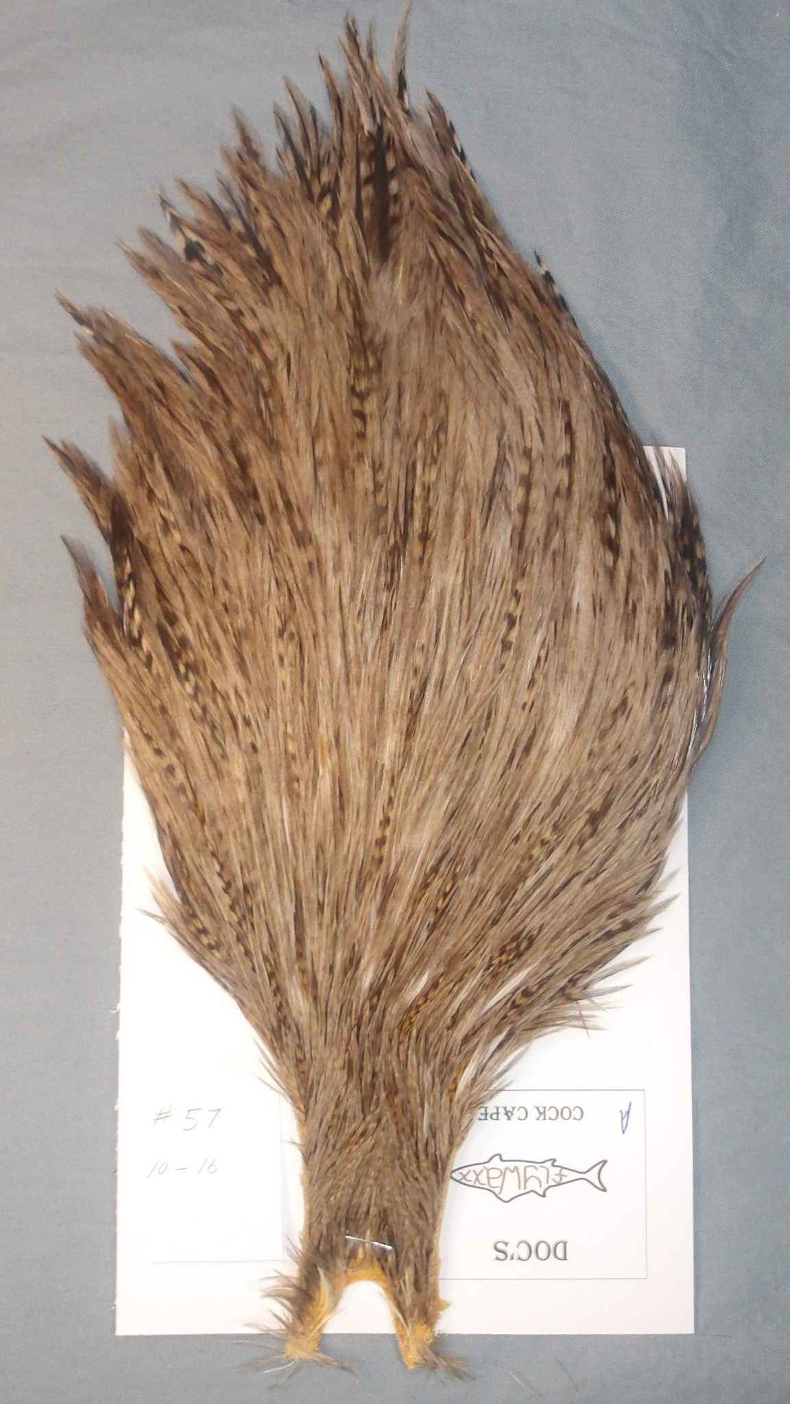 Doc's Cock Cape # 57