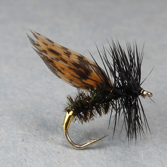 Alder Dry