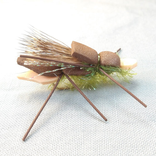 Amy's Ant
