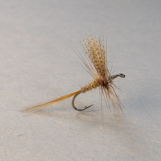 Atherton March Brown Dry ( gold ribbed)