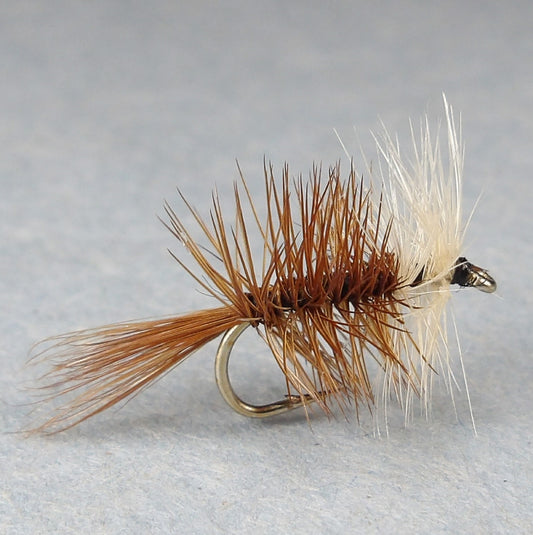 BiVisible Brown