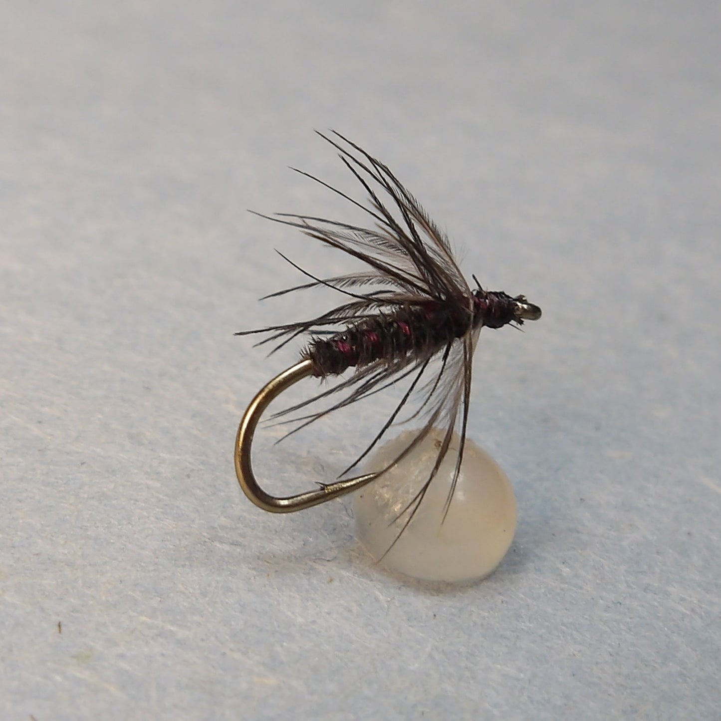 Black Gnat Soft Hackle