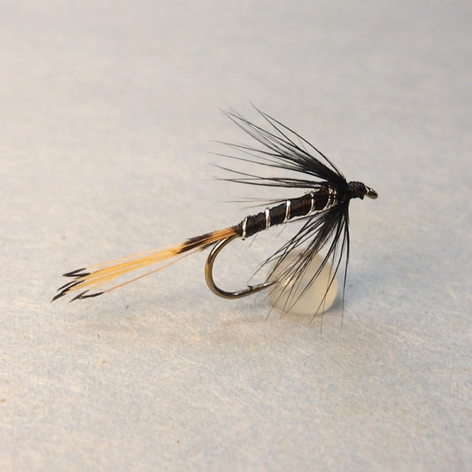 Classic Black Pennell Soft Hackle