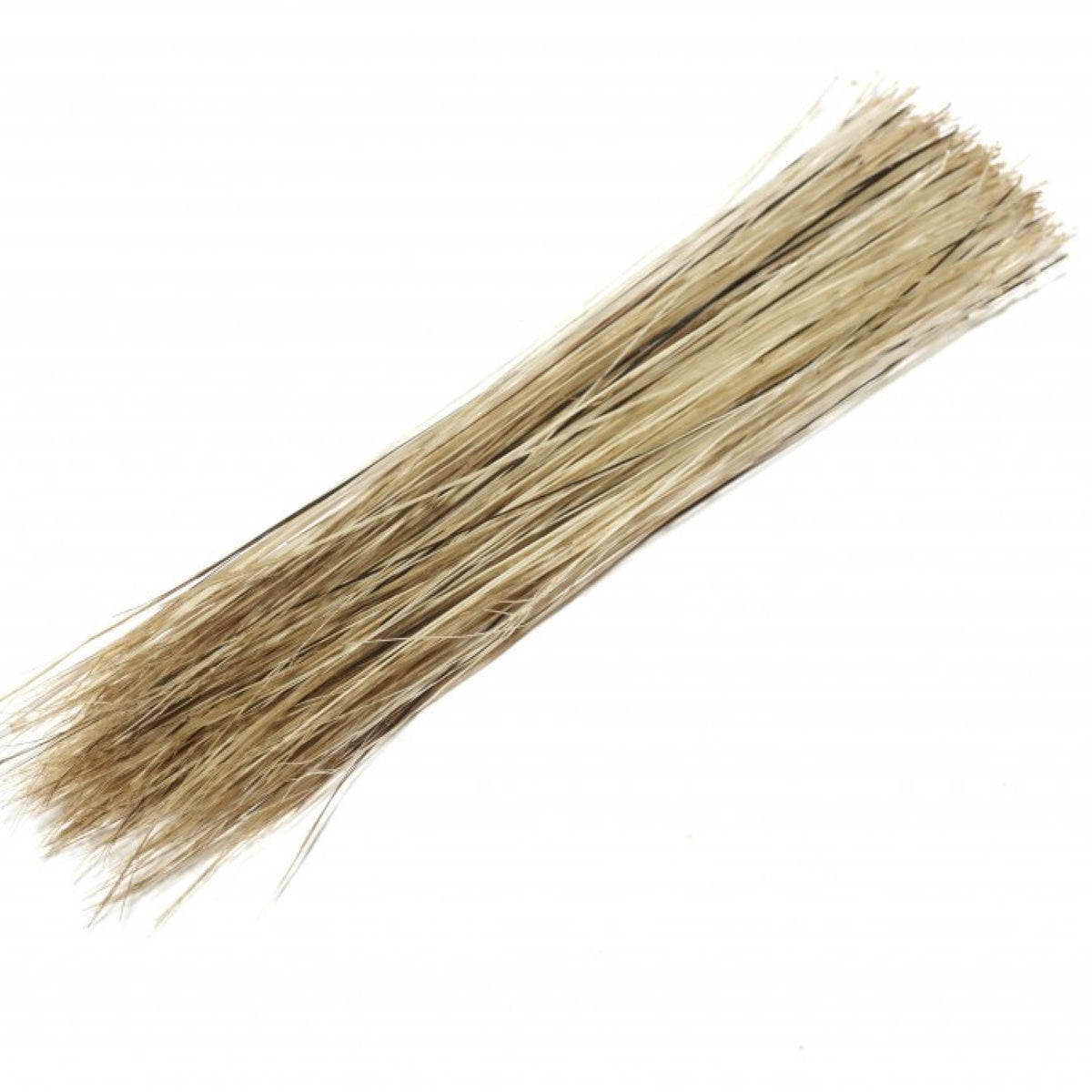 Boar Bristles Natural