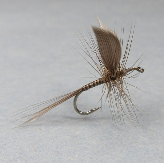 Blue Quill