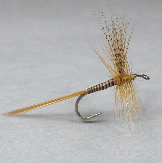 Cahill Quill