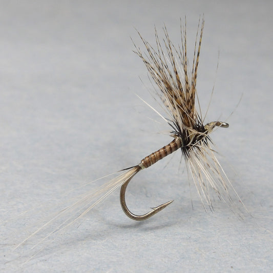 Greig Quill