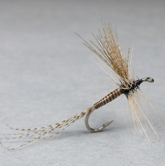 Housatonic Quill