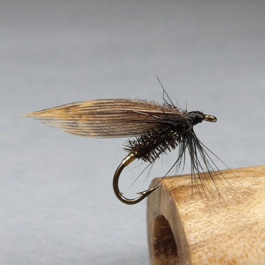 Alder