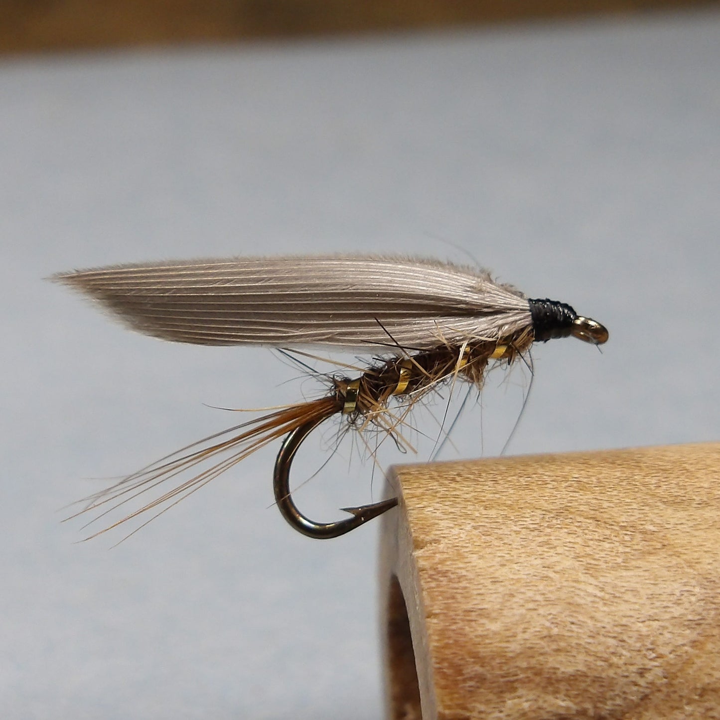 Gold Rib Hares Ear