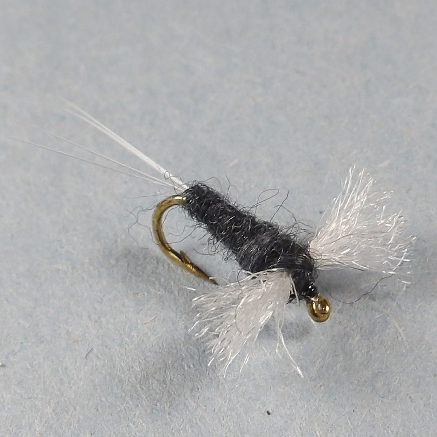 Callabaetis Spinner