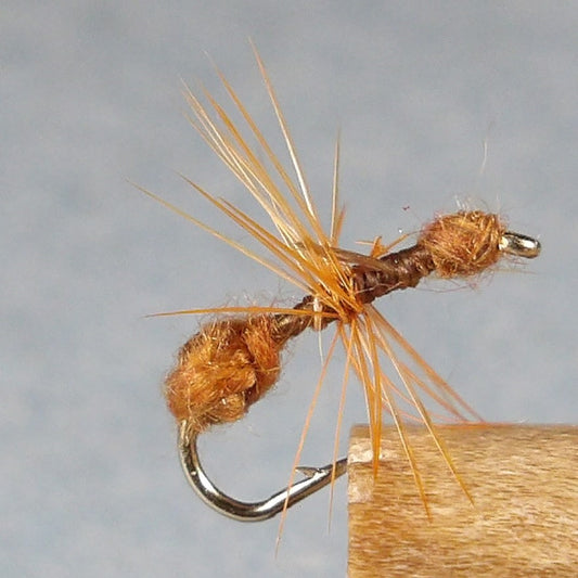 Fur Ant Cinnamon