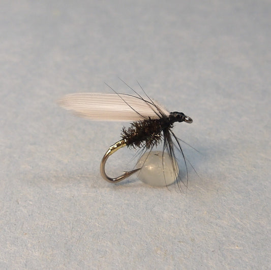 Coachman Classic Wet