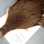 Docs Rooster Cape 147