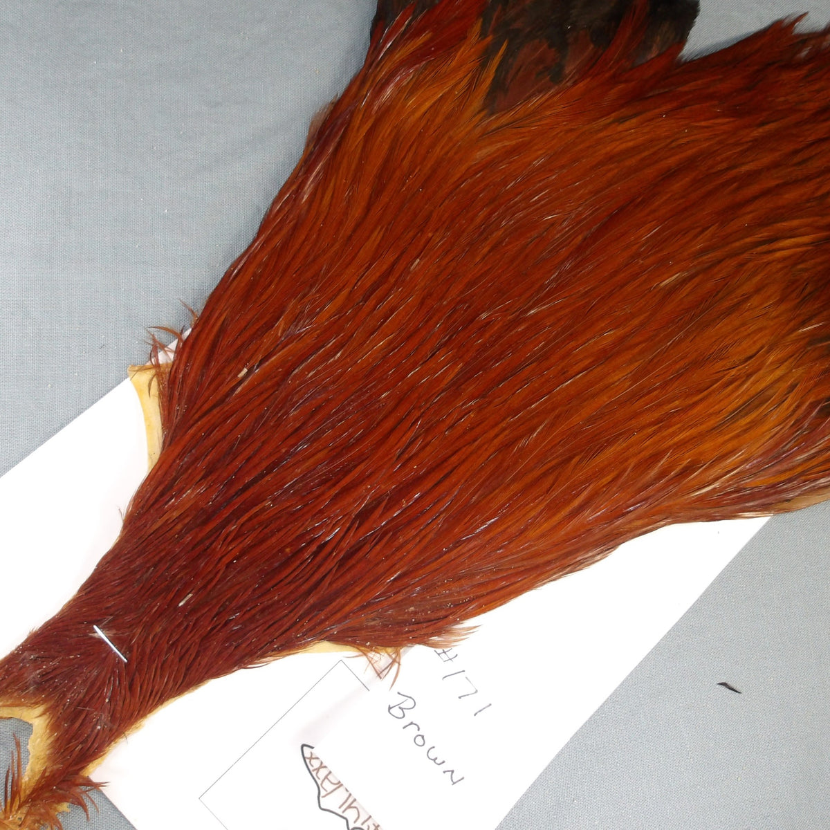 Doc's Rooster Cape # 171
