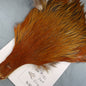 Doc's Rooster Cape # 181