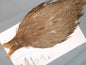 Doc's Cock Cape #91
