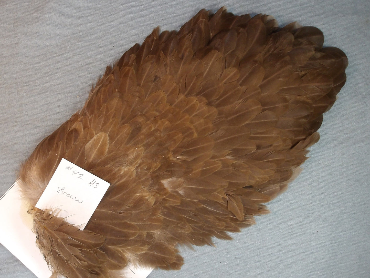 Doc's Hen Saddle  #42
