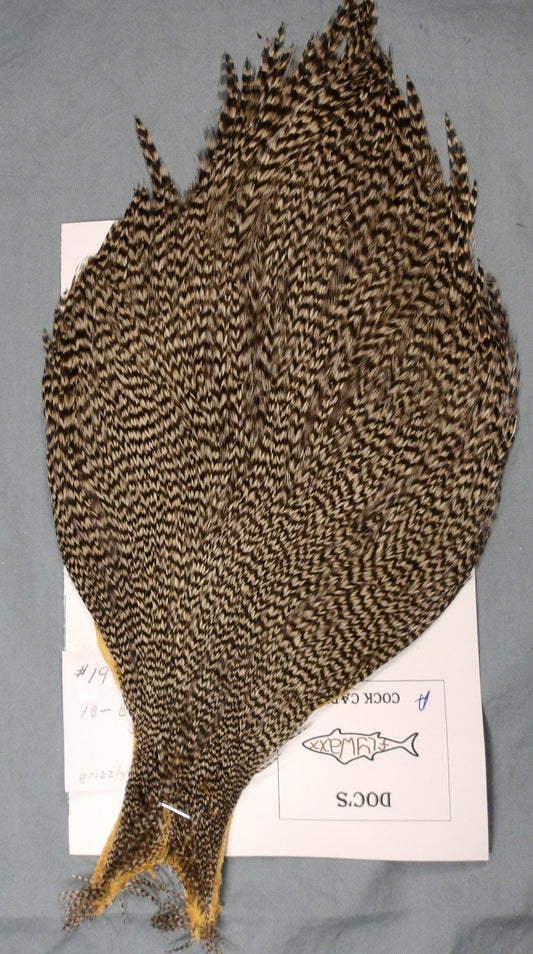 Doc's Cock Cape #19 Grizzly