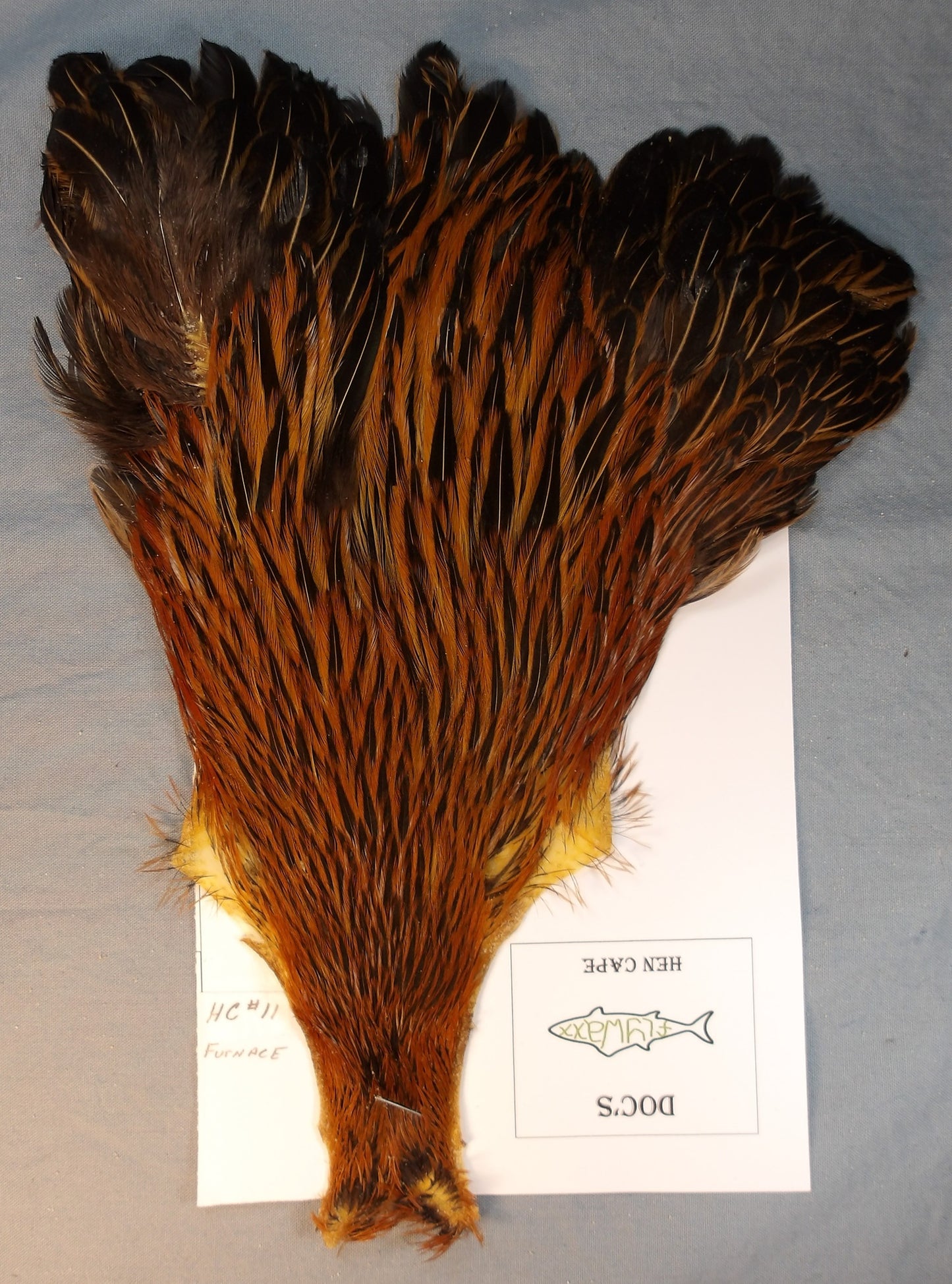 Doc's Hen Cape #11 Furnace