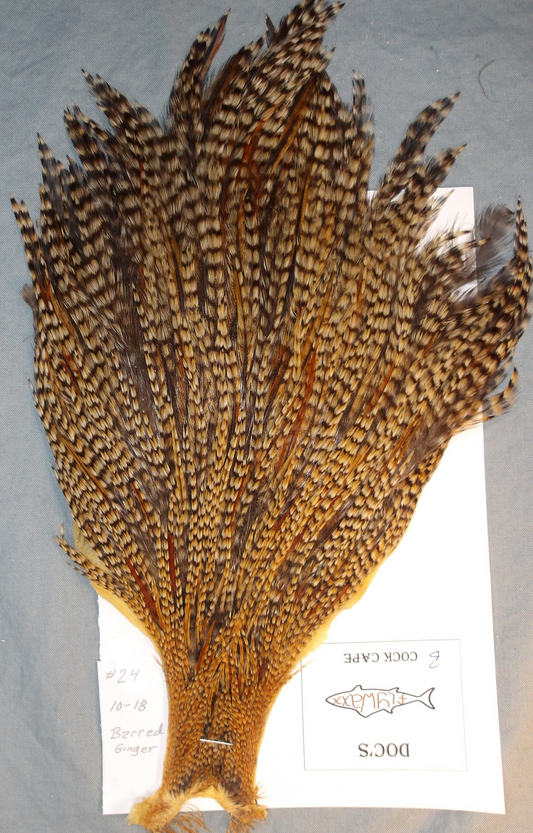 Doc's Cock Cape #24 Barred Ginger