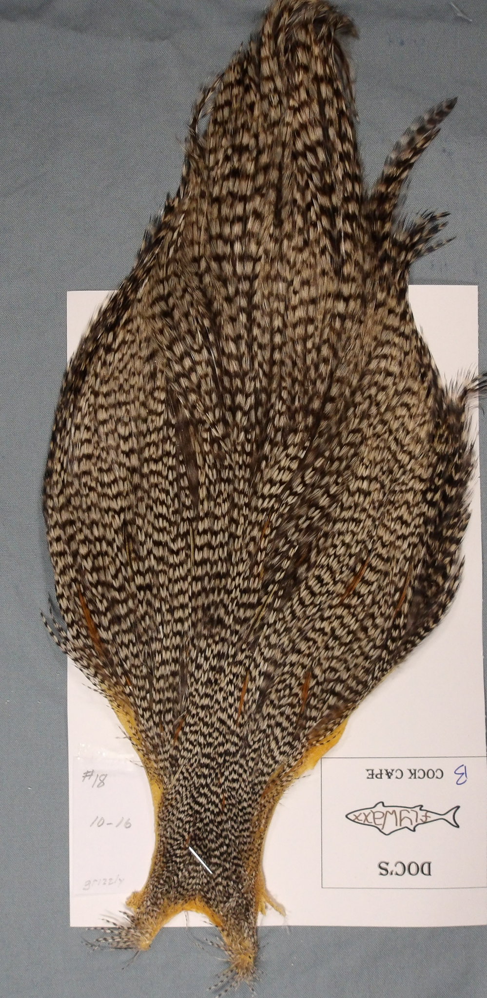 Doc's Cock Cape #18 Grizzly