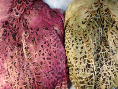 Complete Hen Pheasant Skin.