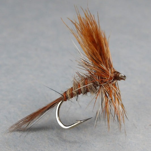 Eastern March Brown