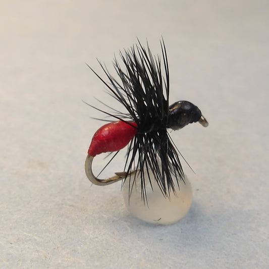 Epoxy Ant Red/Black