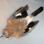 Eurasin Jay Skin