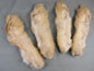 Snowshoe Rabbit Feet from FlyWaxx