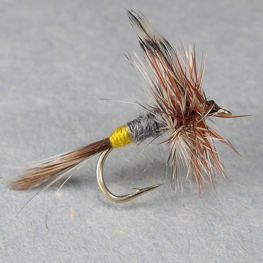 Female Adams