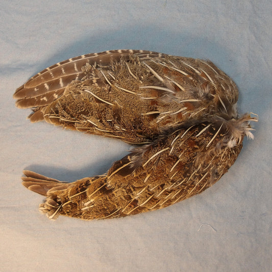 Partridge Wings