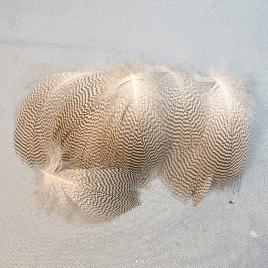 Pintail Duck Flank Feathers