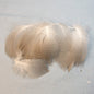 Pintail Duck Flank Feathers