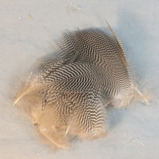 Teal Duck Flanks  FlyWaxx