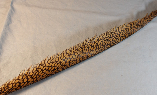 Golden Pheasant Center Tail  FlyWaxx