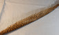 Golden Pheasant Center Tail  FlyWaxx