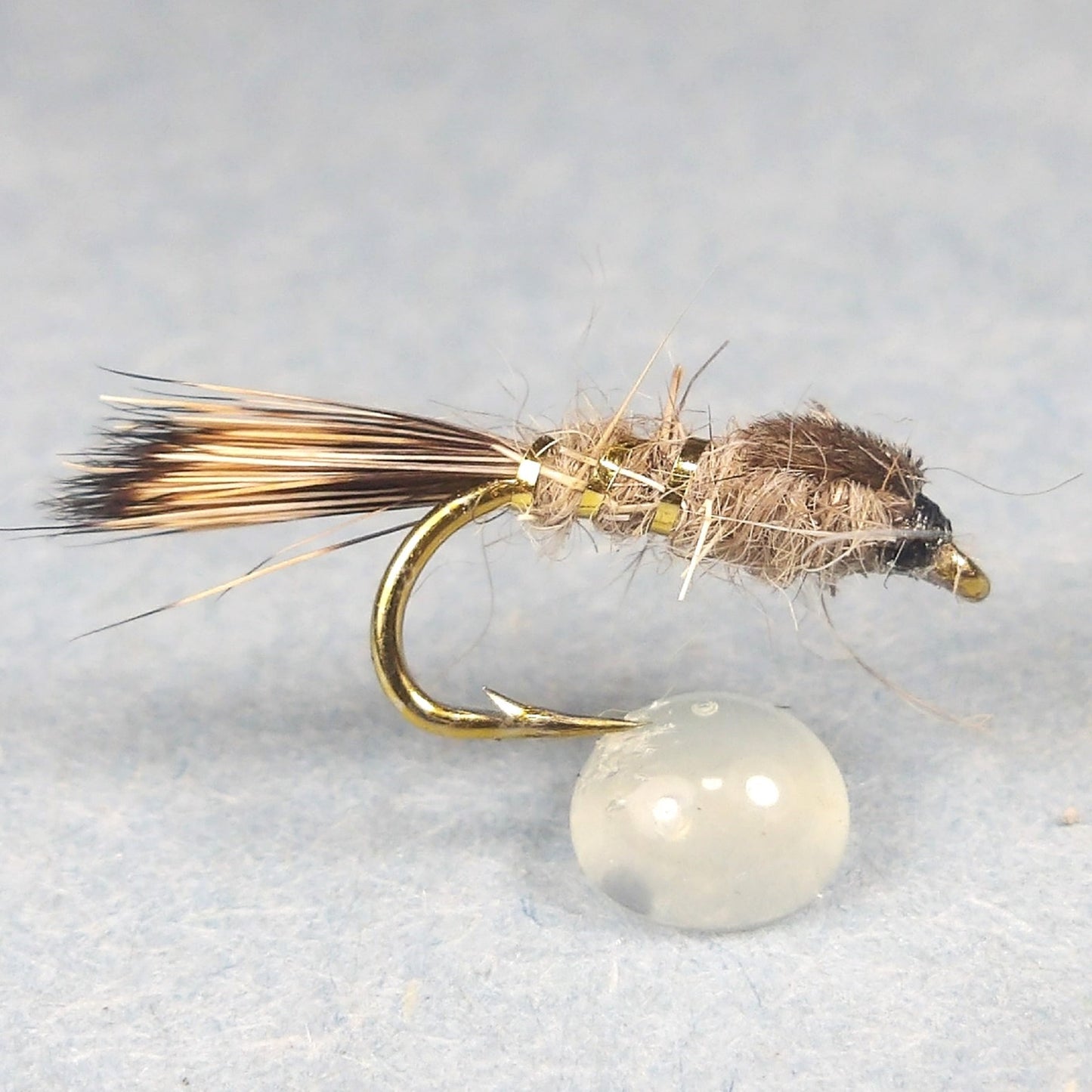 Gold Rib Hare Ear