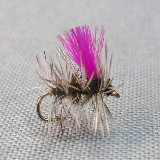 Hi Viz Griffith Gnat