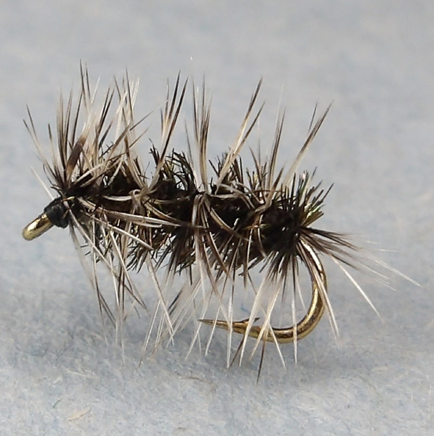 Griffiths Gnat